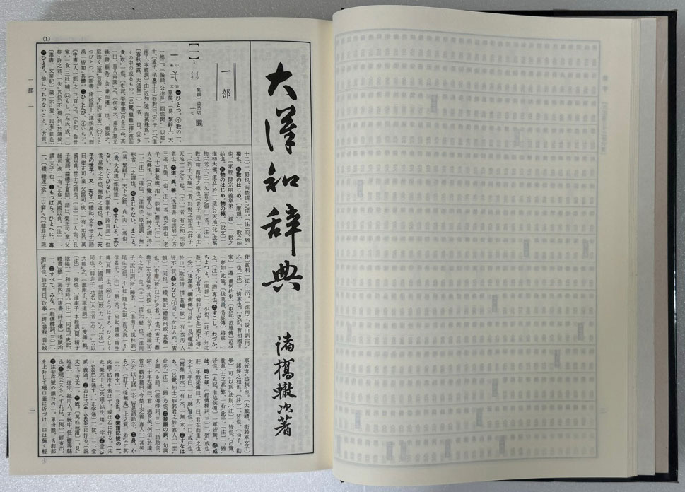 大漢和辭典 대한화사전 1-13 색인포함 전13권 완질 / 비닐커버까지 완벽함 / 1984년 수정판