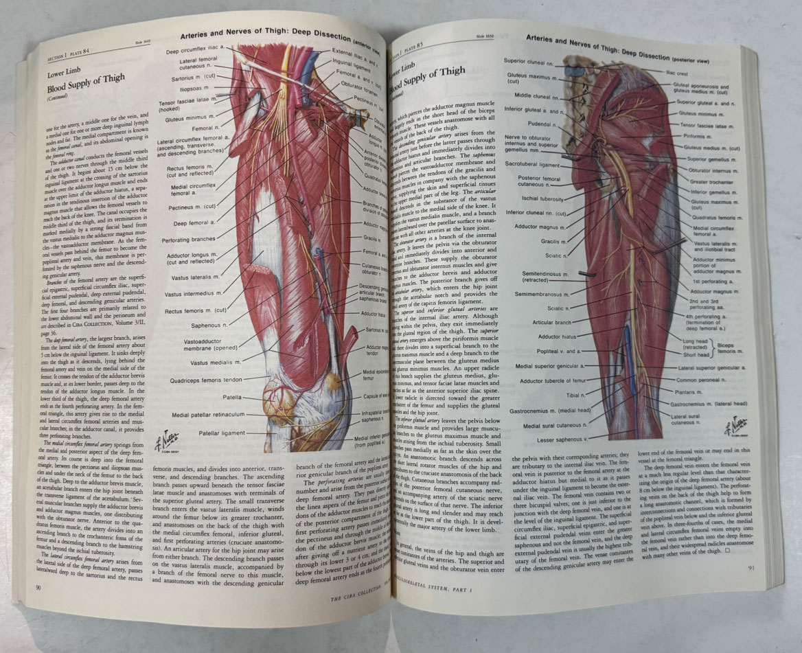 THE CIBA COLLECTION OF MEDICAL ILLUSTRATIONS 전11권 완질 아님