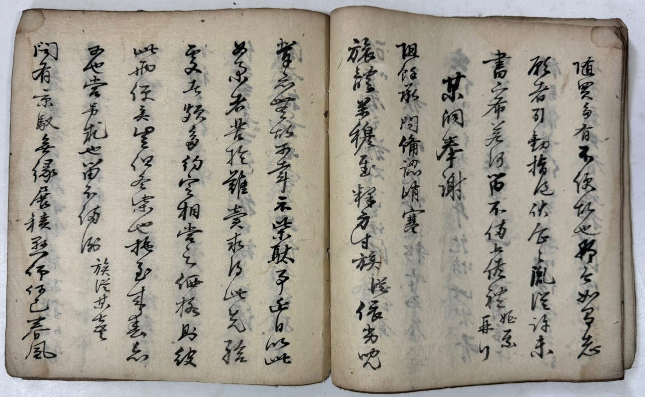 필사본 어떤종류의 필사인지는 모름 사진참조 / 29장 58페이지