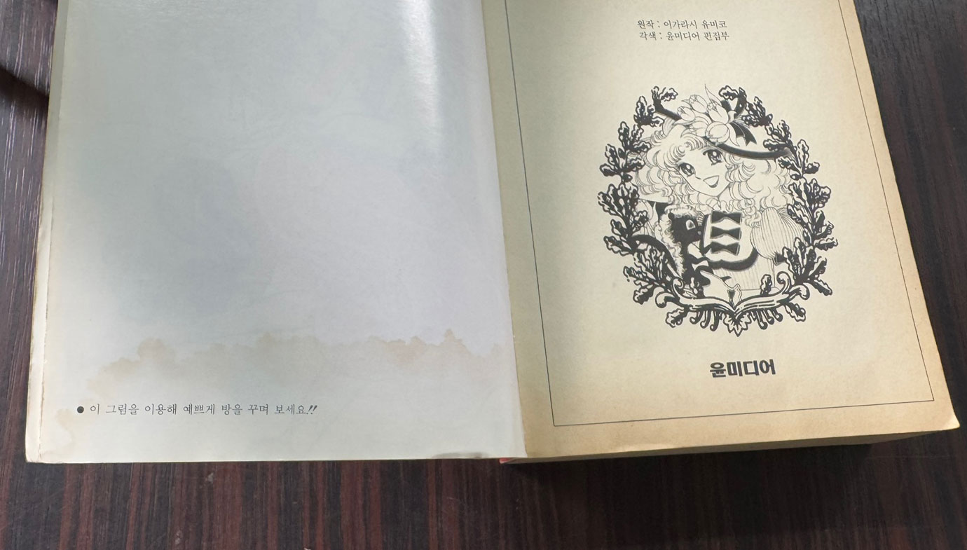 캔디캔디 1~4 전4권 완질 / 이가라시 유미코 / 윤미디어 / 1993년 초판