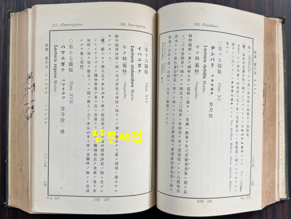 증정 초목도설 초부 3집 / 이누마 요쿠사이 . 마키노 도미타로 / 성미당발행 / 1913년 초판 / 562페이지