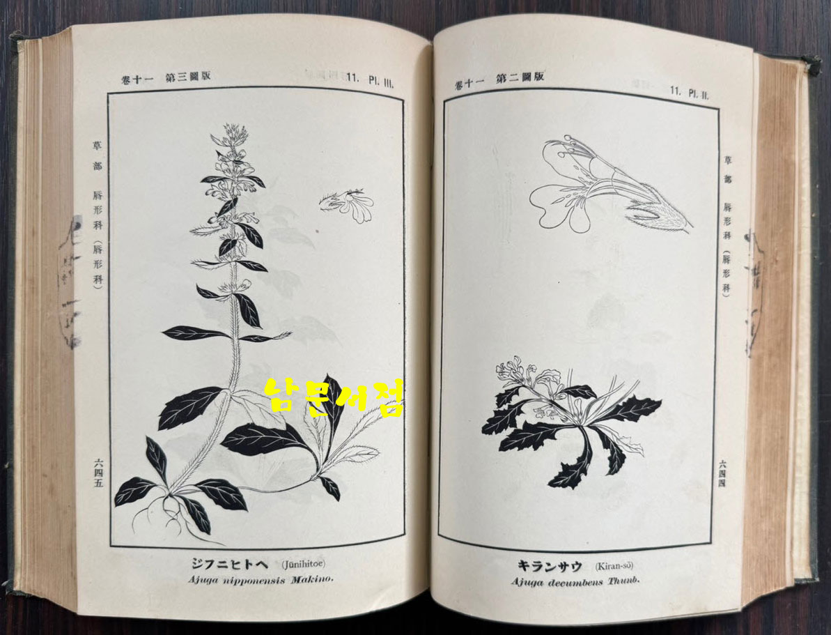 증정 초목도설 초부 3집 / 이누마 요쿠사이 . 마키노 도미타로 / 성미당발행 / 1913년 초판 / 562페이지