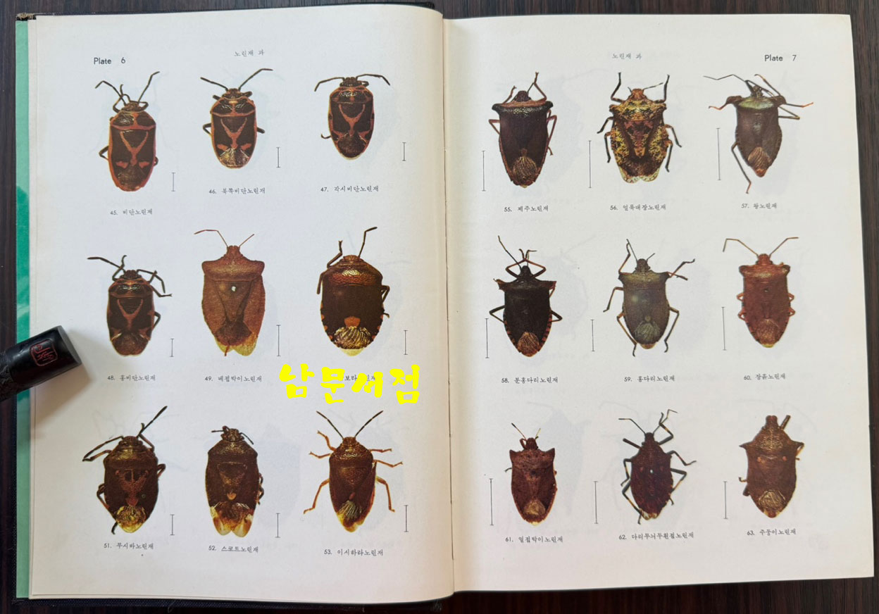 한국동식물도감 제12권 동물편- 곤충류 4 / 문교부 / 1971년 초판 / 1069페이지